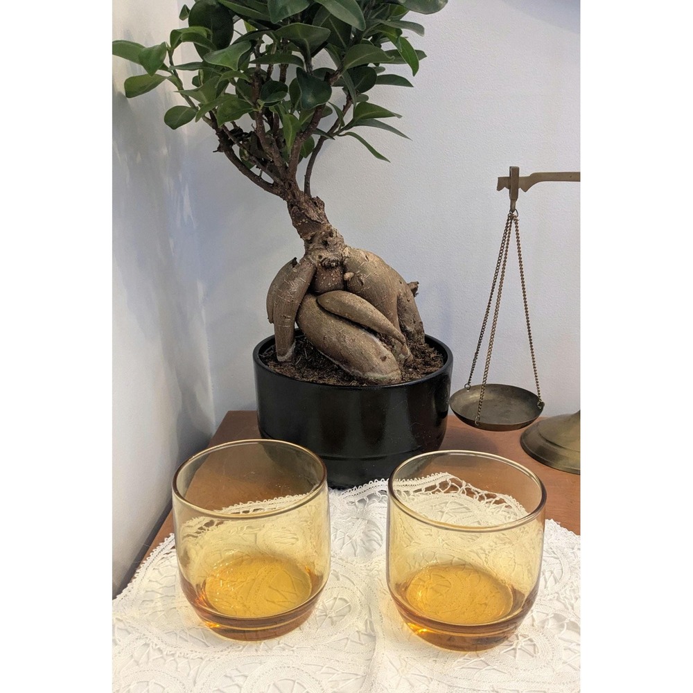 Vintage Amber Glass Tumblers, Retro 1970s Smoky Glass, Mid Century Barware